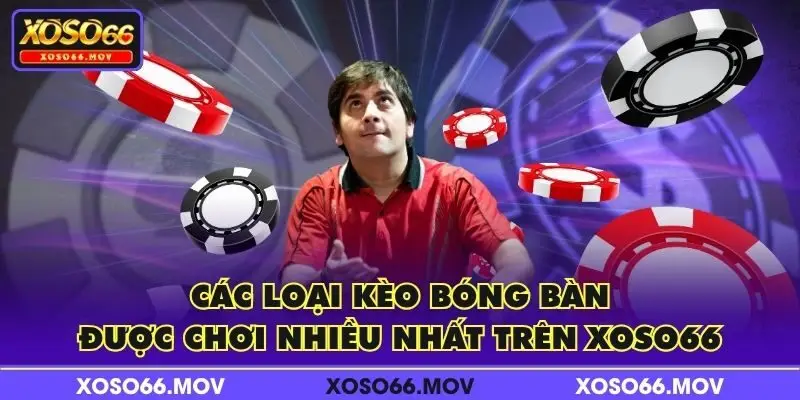 Các loại kèo bóng bàn được chơi nhiều nhất trên XOSO66