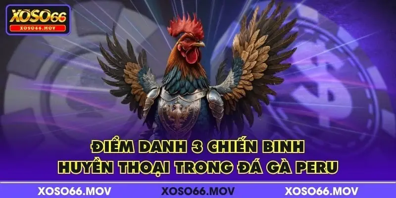 Điểm danh 3 chiến binh huyền thoại trong đá gà Peru