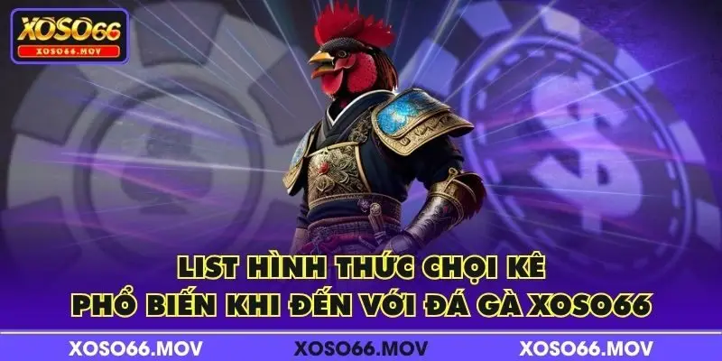 List hình thức chọi kê phổ biến khi đến với Đá Gà XOSO66
