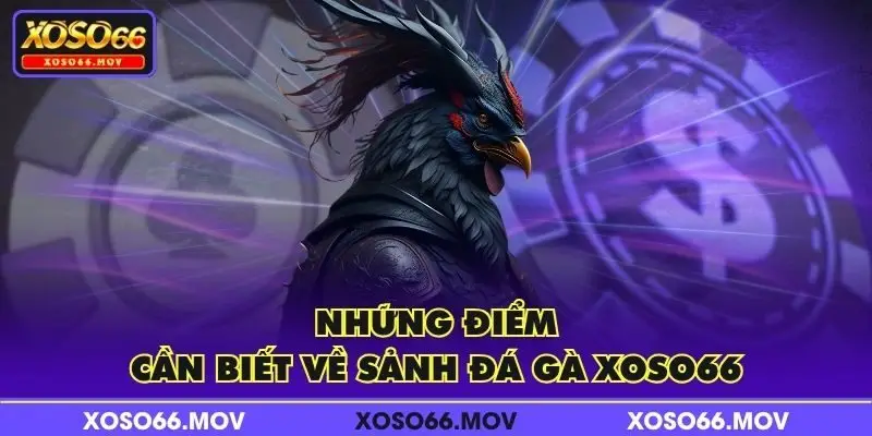 Những điểm cần biết về sảnh Đá Gà XOSO66