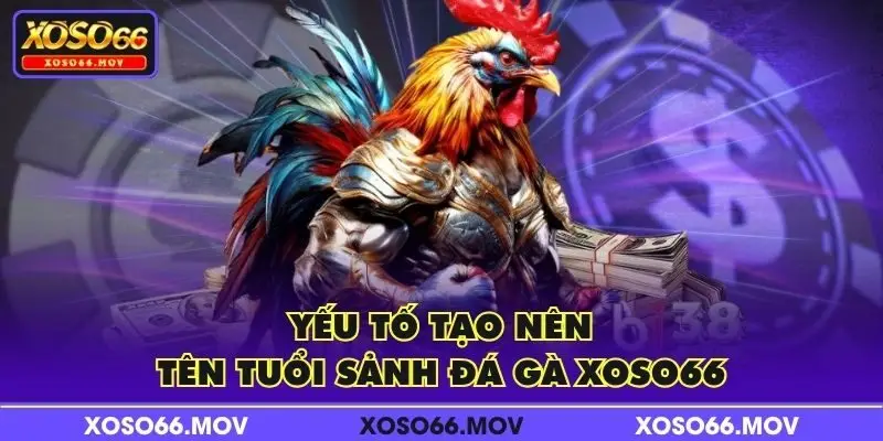 Yếu tố tạo nên tên tuổi sảnh Đá Gà XOSO66